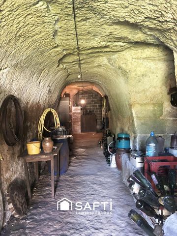 photo no. 10