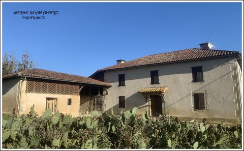 Dpt Gers (32), à vendre MASSEUBE maison P5 de 129 m² - Terrain de 3981 avec dépendances