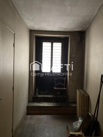 photo no. 6
