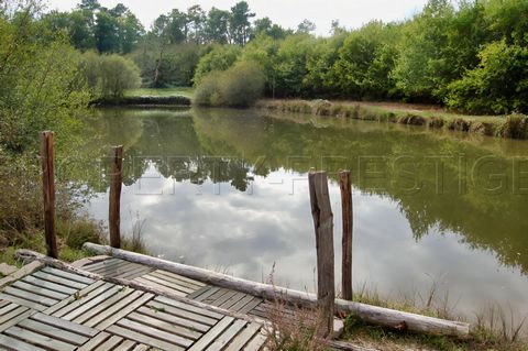 photo no. 1