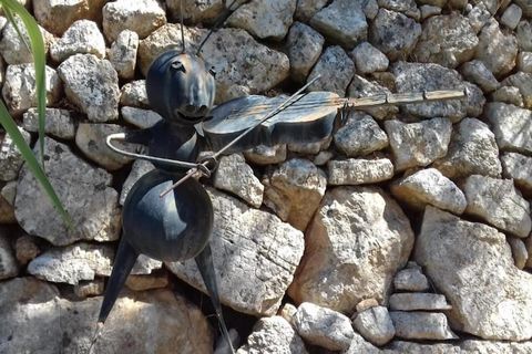Le Domaine de l'Eilen, classé Résidence de Tourisme 3 étoiles est situé à Cavalaire sur Mer, aux portes du Golfe de Saint-Tropez. Sites naturels sauvages et diversité des paysages mêlant la beauté des eaux bleues, des villages authentiques, des panor...