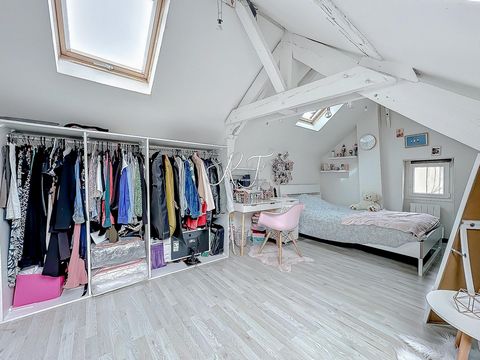 photo no. 11