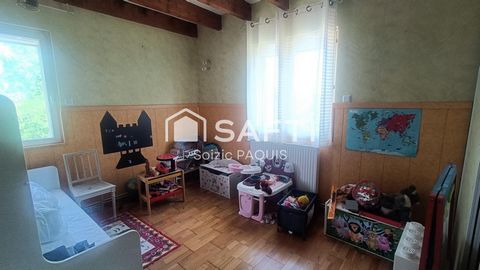 photo no. 11