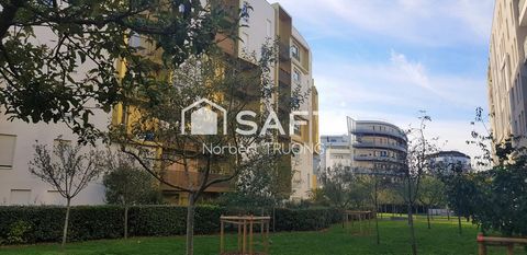 photo no. 12