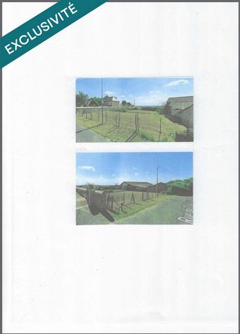photo no. 6