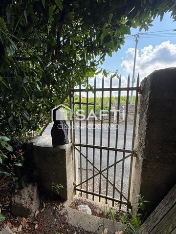 photo no. 6