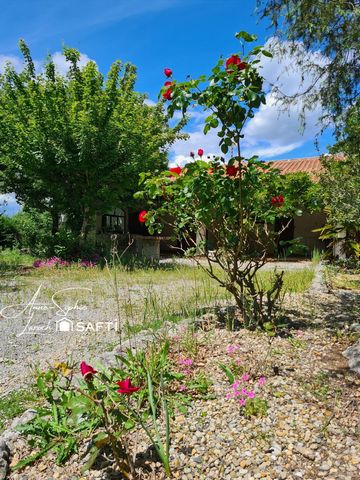 photo no. 11