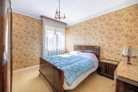 photo no. 2