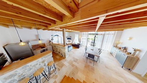 photo no. 15