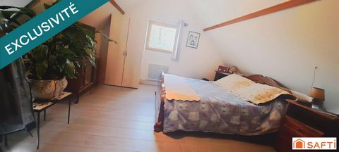 photo no. 12
