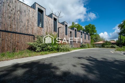 photo no. 11