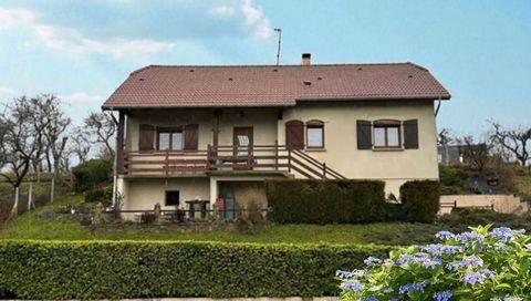 photo no. 2
