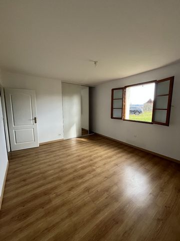 photo no. 11