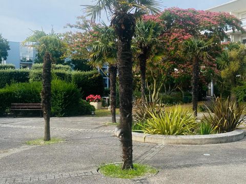 photo no. 10