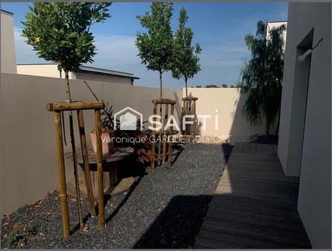 photo no. 10