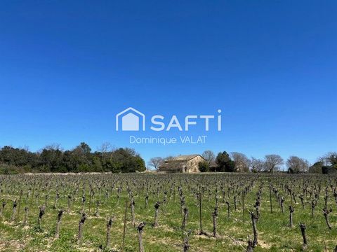 Grande propriété agricole (11Ha) recherche paysan de coeur ou amoureux de nature pour reprendre vie