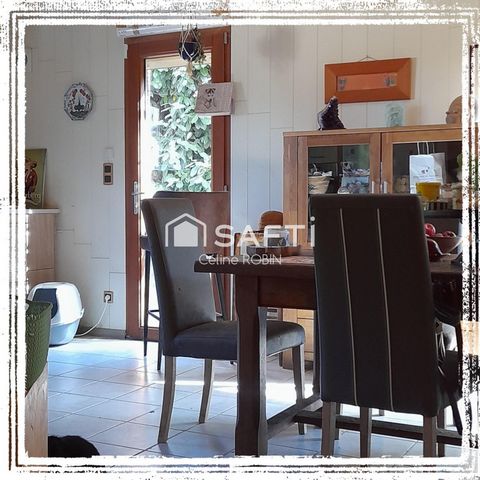 photo no. 11