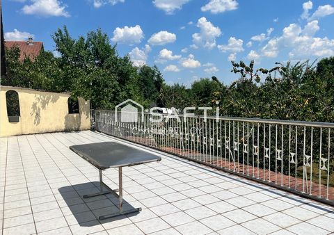 photo no. 10