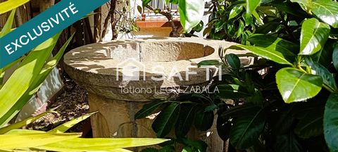 photo no. 12