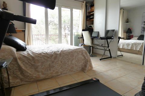 photo no. 5