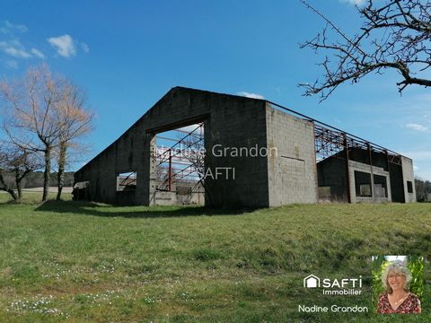 photo no. 6