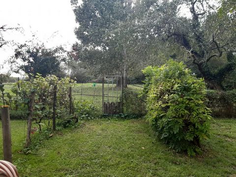 photo no. 14
