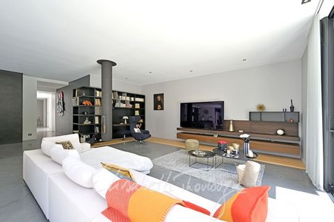 photo no. 2
