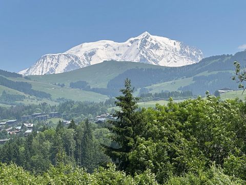 Vue Mont-Blanc - Mont-Joly - Rochebrune