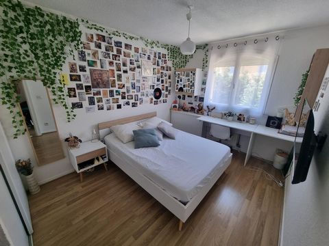 photo no. 7