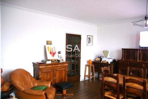 photo no. 6