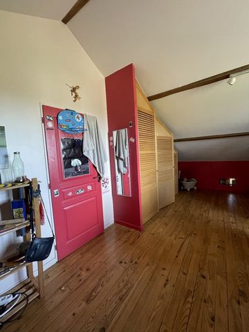photo no. 15
