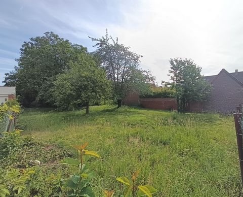 Terrain à bâtir – 485 m² – Flines-lez-Raches