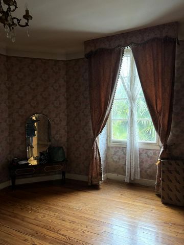 photo no. 15