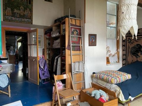 photo no. 11