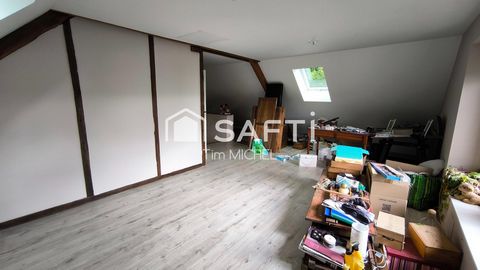 photo no. 16