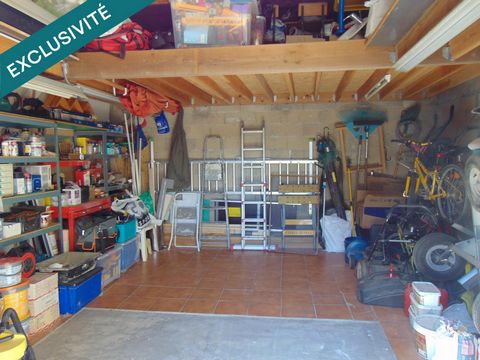 photo no. 11
