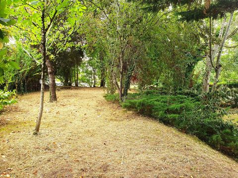 photo no. 9