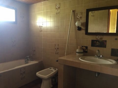 photo no. 11