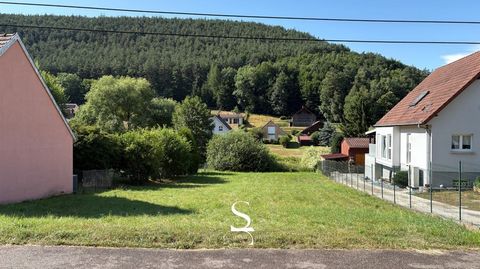 photo no. 1