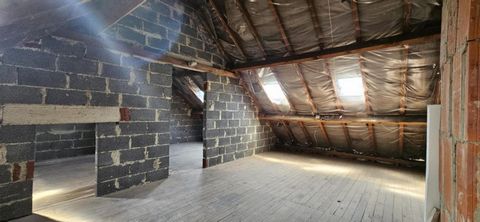 photo no. 6