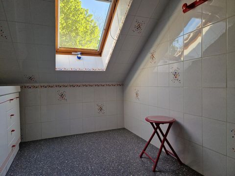 photo no. 11