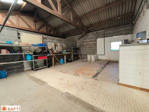photo no. 11