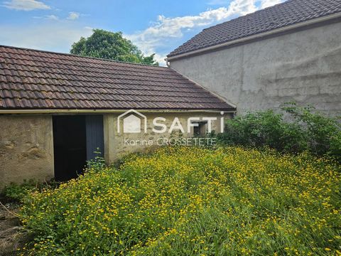 photo no. 10