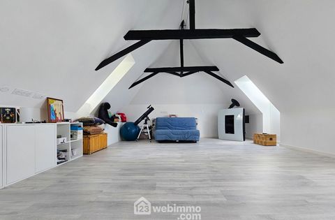 photo no. 12
