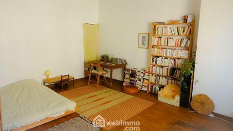 photo no. 5