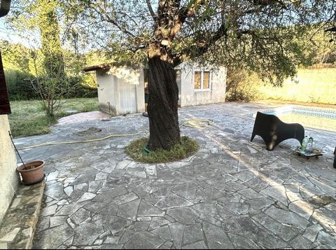 photo no. 6