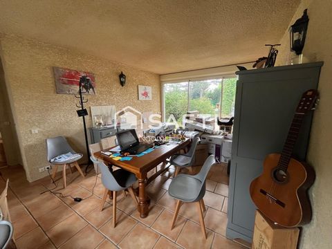 photo no. 13