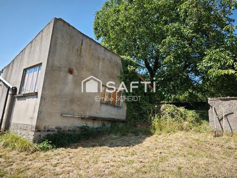 photo no. 6