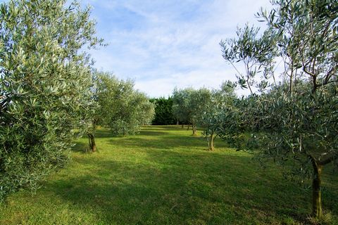Tucked away among the vineyards of Montfrin, this beautiful holiday villa offers a peaceful escape just minutes from Nîmes. Ideal for families or friends, the home accommodates up to 5 guests and features two bedrooms, two bathrooms, and a charming i...