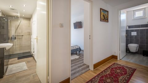 photo no. 11